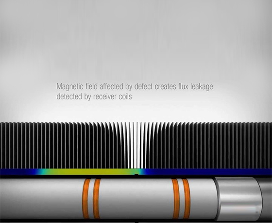 Magnetic flux leakage tasting